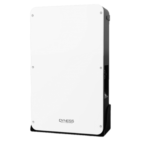 DYNESS 51.2V 200Ah