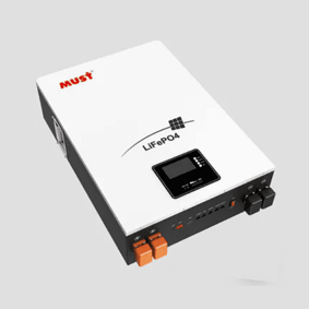 MUST 51.2v 100ah - Image 2